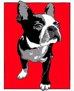 Boston Terrier Paint By Numbers