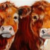 Brown Cows Paint By Numbers