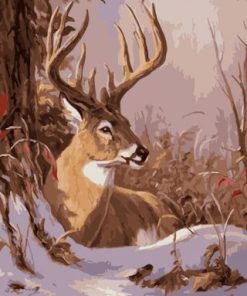 Buck in Snow Paint By Numbers