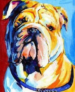 Bulldog Animal Paint By Numbers