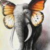 Butterfly Elephant Paint By Numbers