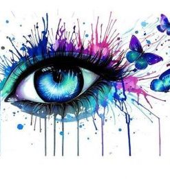 Butterfly Eye Paint By Numbers