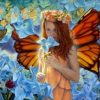 Butterfly Fairy Paint By Numbers