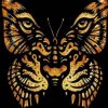Butterfly Tiger Paint By Numbers