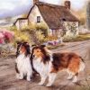 Cabin Dogs Paint By Numbers