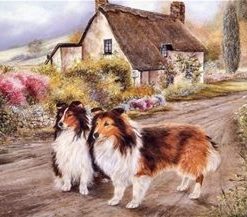 Cabin Dogs Paint By Numbers