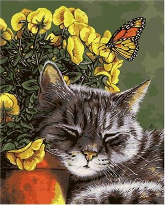 Cat And Butterfly Paint By Numbers