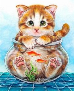 Cat In Fishbowl Paint By Numbers