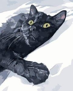 Cat In Snow Paint By Numbers