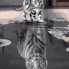 Cat Mirror Paint By Numbers