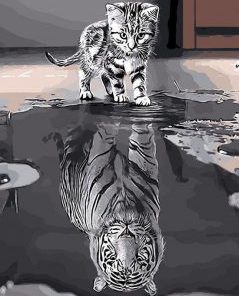 Cat Mirror Paint By Numbers