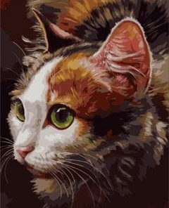 Cat Paint By Numbers