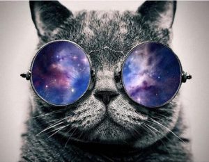 Cat With Glasses Paint By Numbers