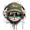 Cat With Headphones Paint By Numbers