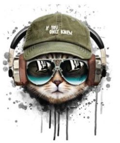 Cat With Headphones Paint By Numbers