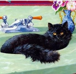 Cat in Bath Paint By Numbers