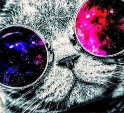 Cat with Sunglasses Paint By Numbers