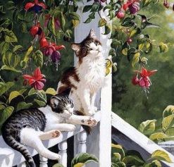 Cats Resting Paint By Numbers