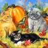 Cats with Pumpkin Paint By Numbers