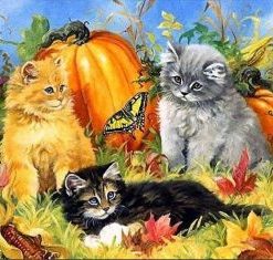 Cats with Pumpkin Paint By Numbers