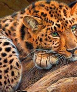 Cheetah Eyes Paint By Numbers