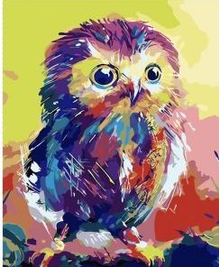 Chick Owl Paint By Numbers