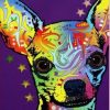 Chihuahua Dog Paint By Numbers