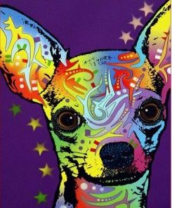 Chihuahua Dog Paint By Numbers