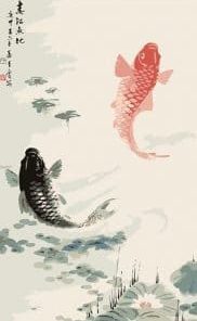 Chinese Koi Paint By Numbers