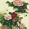 Chinese Peony Paint By Numbers