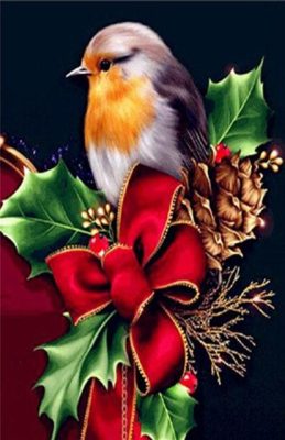 Christmas Bird Paint By Numbers