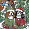 Christmas Dogs Paint By Numbers