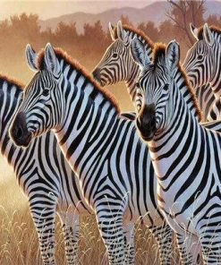 Clique of Zebra Paint By Numbers