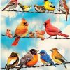 Colored Birds Paint By Numbers