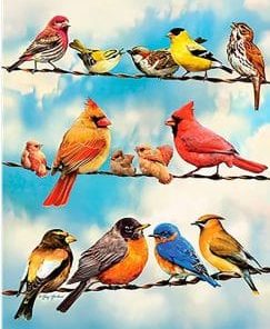 Colored Birds Paint By Numbers