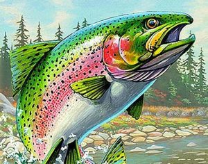 Colored Salmon Paint By Numbers