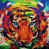 Colored Tiger Paint By Numbers