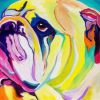 Colorful Bulldog Paint By Numbers