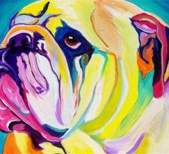 Colorful Bulldog Paint By Numbers