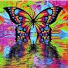 Colorful Butterfly paint by numbers