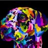 Colorful Dog Paint By Numbers