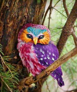 Colorful Owls Paint By Numbers