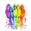 Colorful Parrots Paint By Numbers