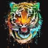 Colorful Tiger Paint By Numbers