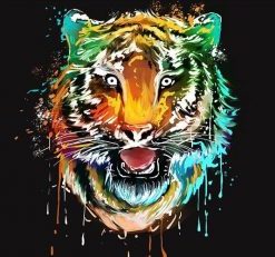 Colorful Tiger Paint By Numbers