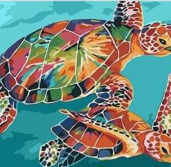 Colorful Tortoise Paint By Numbers