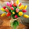 Colorful Tulips Paint By Numbers