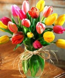 Colorful Tulips Paint By Numbers