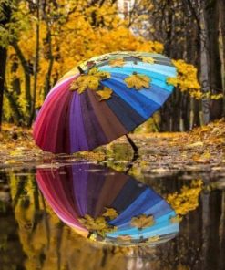 Colorful Umbrella Paint By Numbers