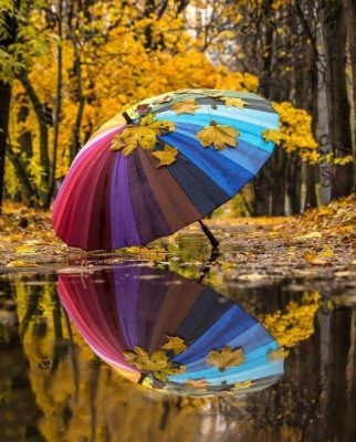 Colorful Umbrella Paint By Numbers